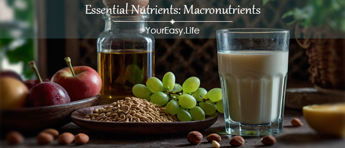 Essential Nutrients: Macronutrients