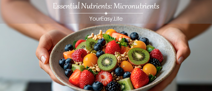 Essential Nutrients: Micronutrients