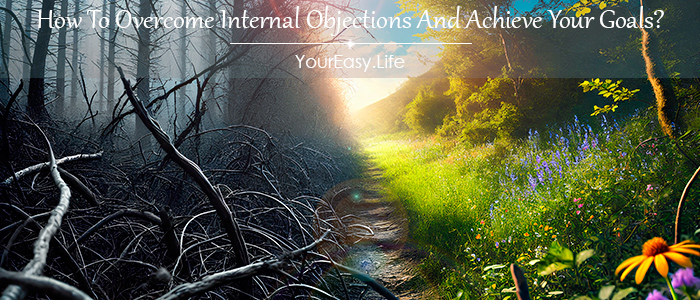 How To Overcome Internal Objections And Achieve Your Goals?