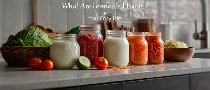 What Are Fermented Foods | YourEasy.Life